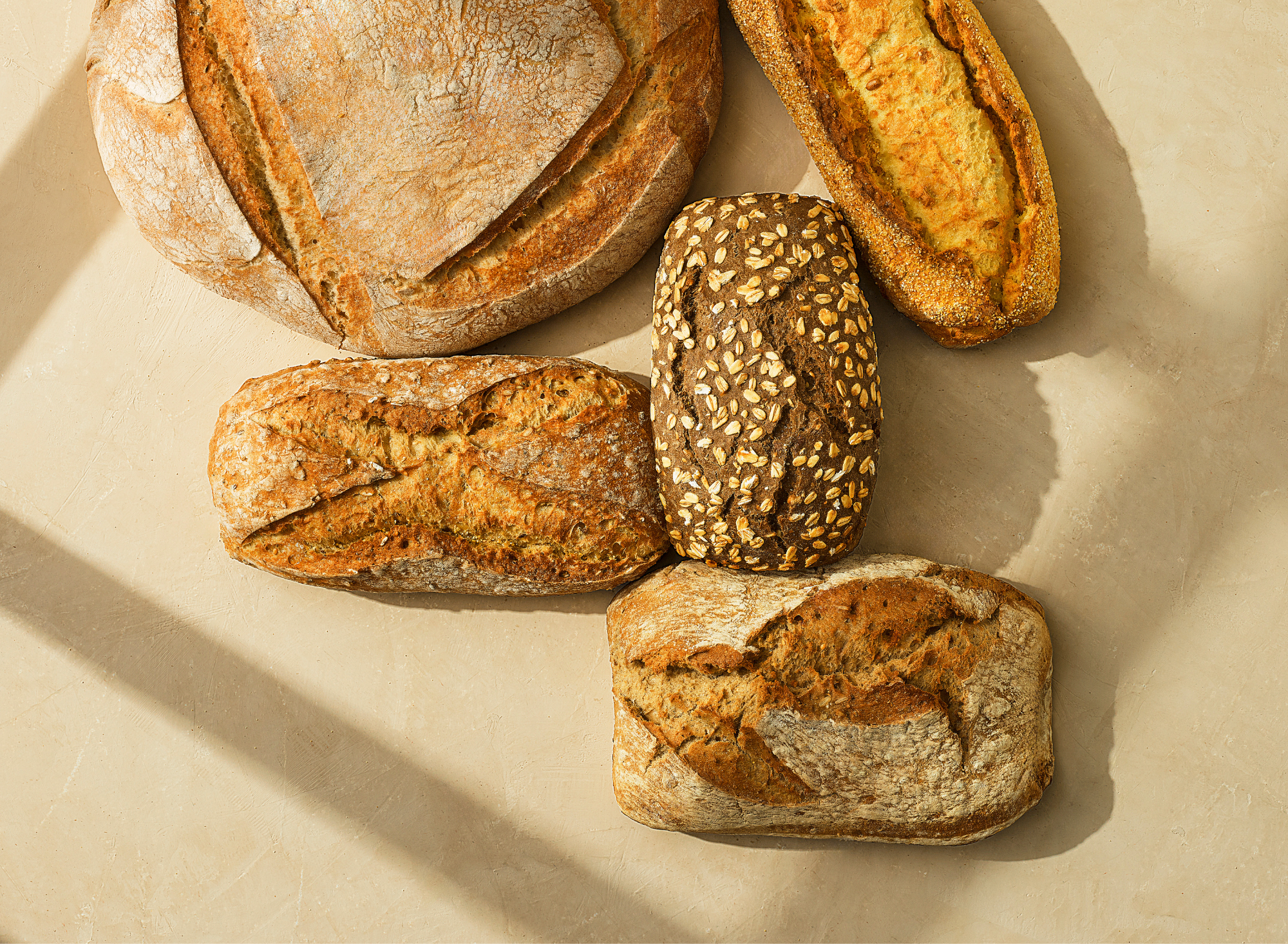 Pains spéciaux, précuits surgelés, pour les professionnels de la boulangerie